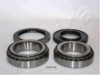 ASHIKA 44-25019 Wheel Bearing Kit